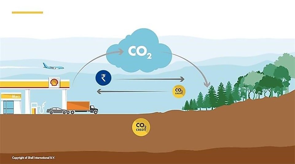 CO₂ compensation