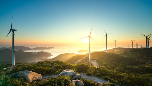 Native Software Engineering