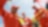 A group of Shell employees celebrating