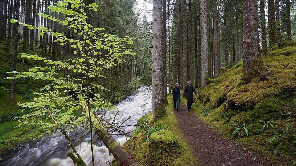 A man and a woman walking along rapids in a forest