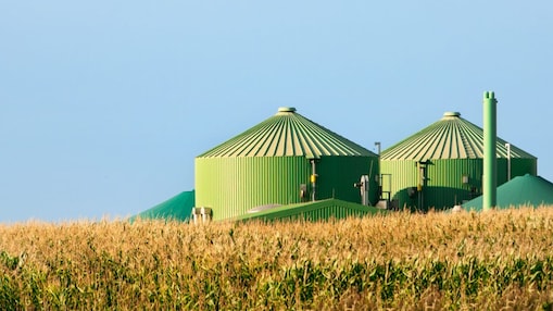 Biofuels