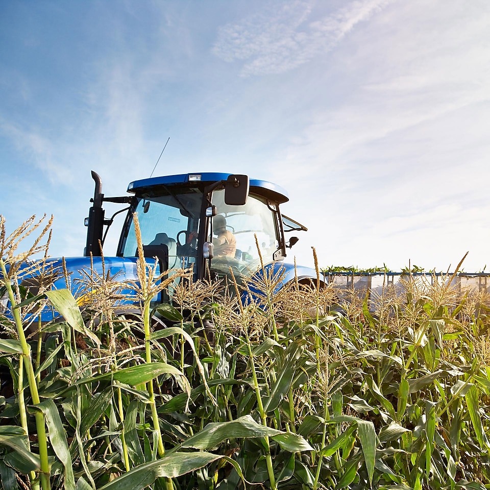 Image of tractor driving through high crops