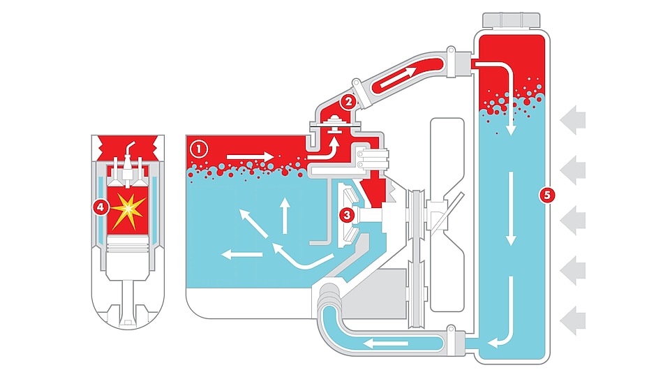 Graphic indicating the coolant being used in an engine