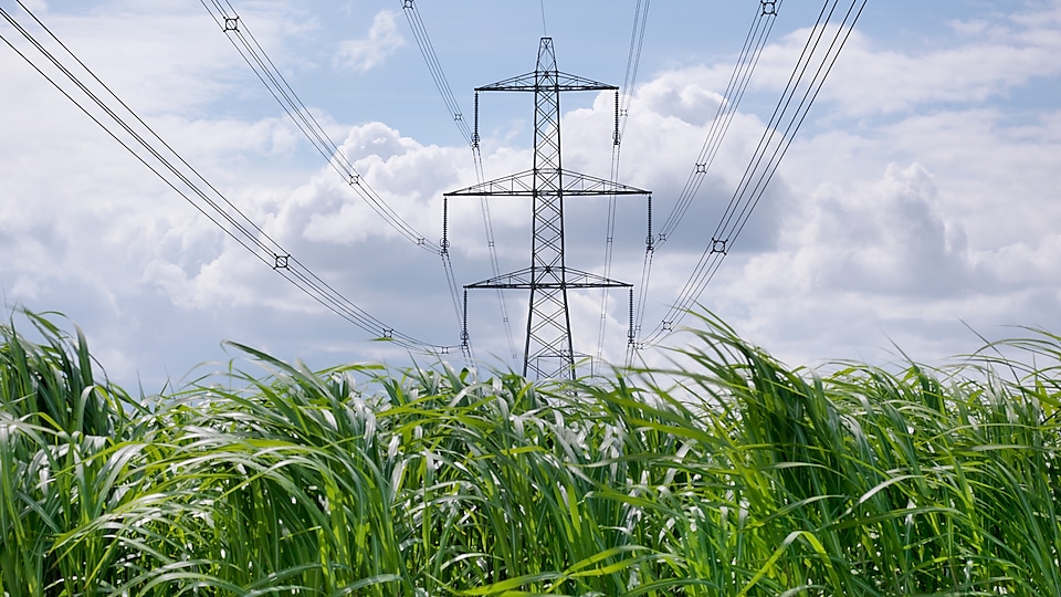 Pylon in a field with crops