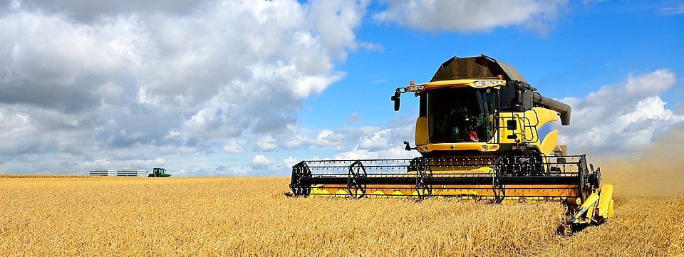Machine cutting crop in field machinery-and-agriculture