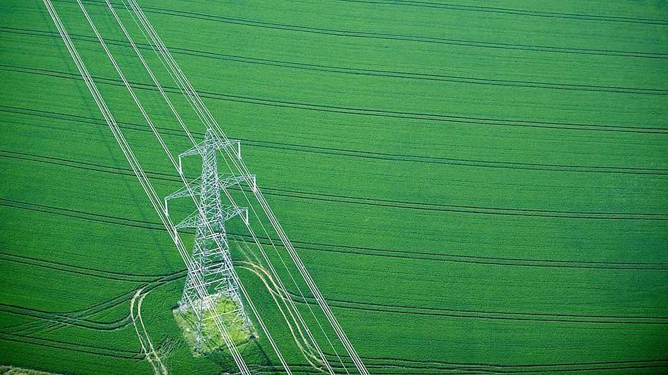 Electricity pylon in wheat field