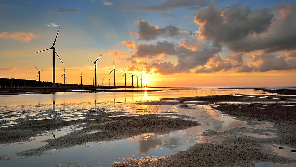 Wind turbines near a beach