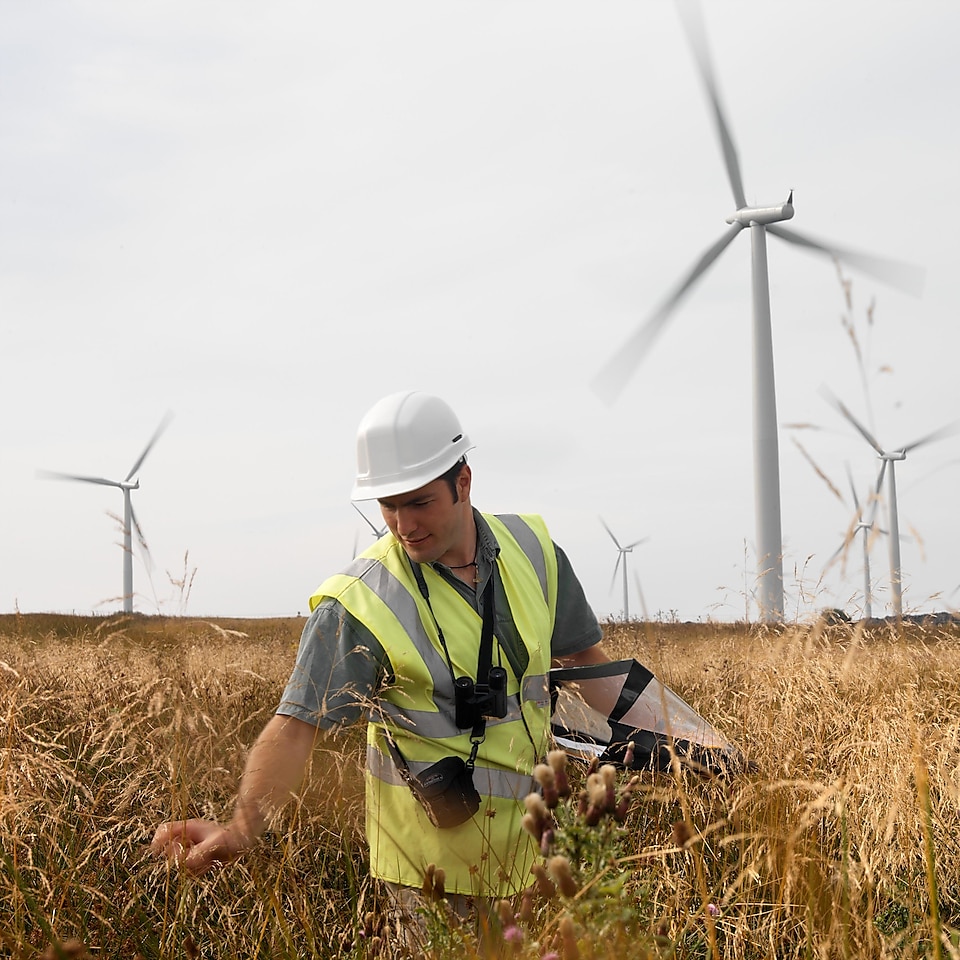 A maintenance man in a wind farm field with multiple wind turbines in the background