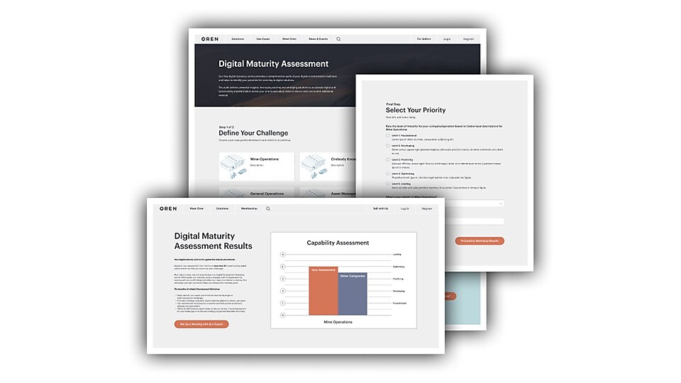 Captured screens from the Digital Maturity Assessment
