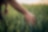 Farmer in the field