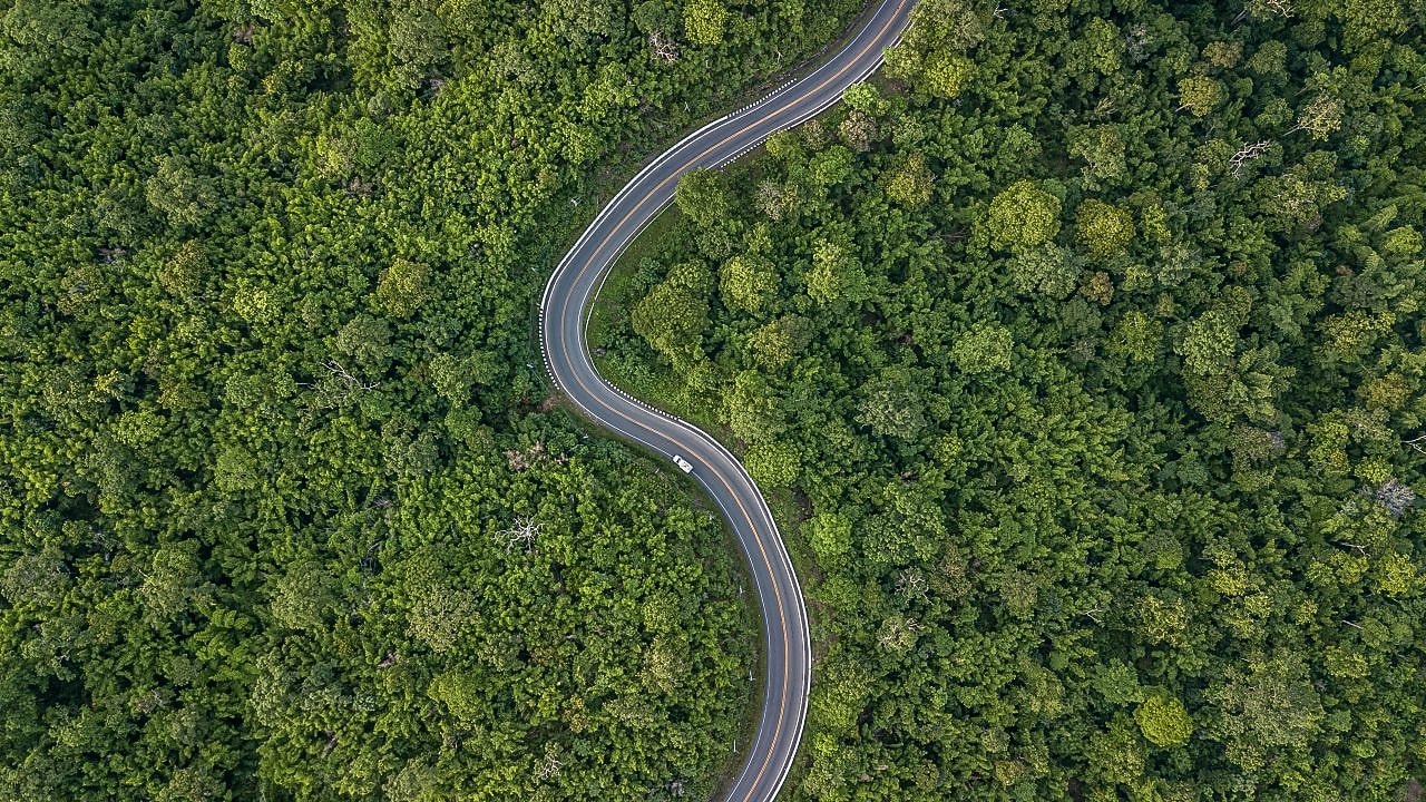 Carbon Neutral Lubricants