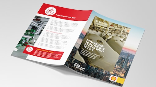 Shell Mysella whitepaper