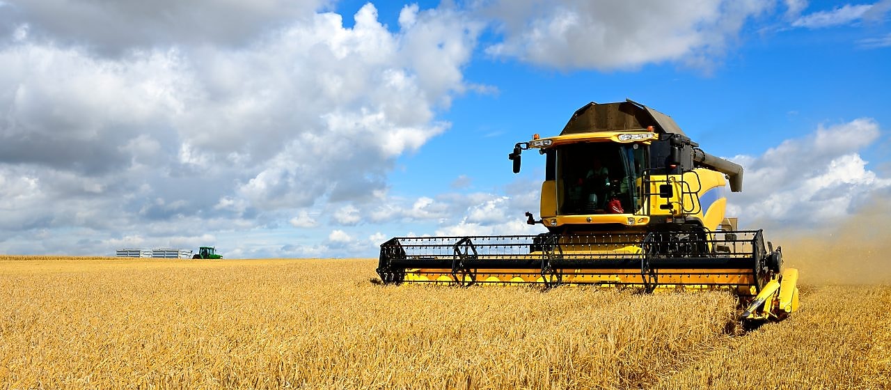 Machine cutting crop in field machinery and agriculture