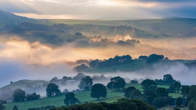 Our Perspectives Content Hub