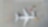 Aerial view of airplane and vans