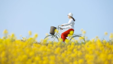 A young woman rides a bicycle through a summer field