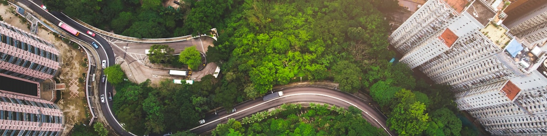 areal view