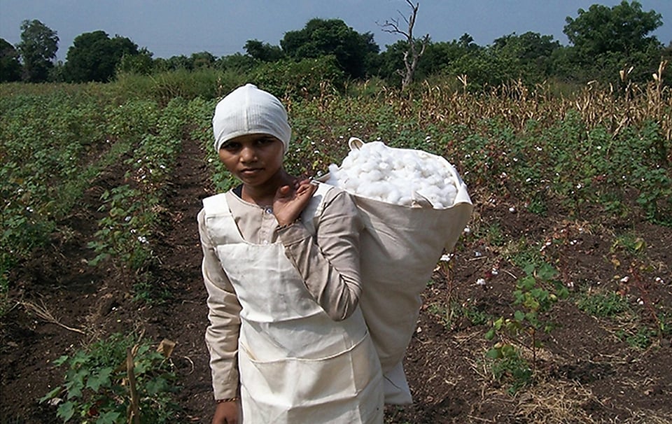 Woman carrying bale of cotton over her shoulder